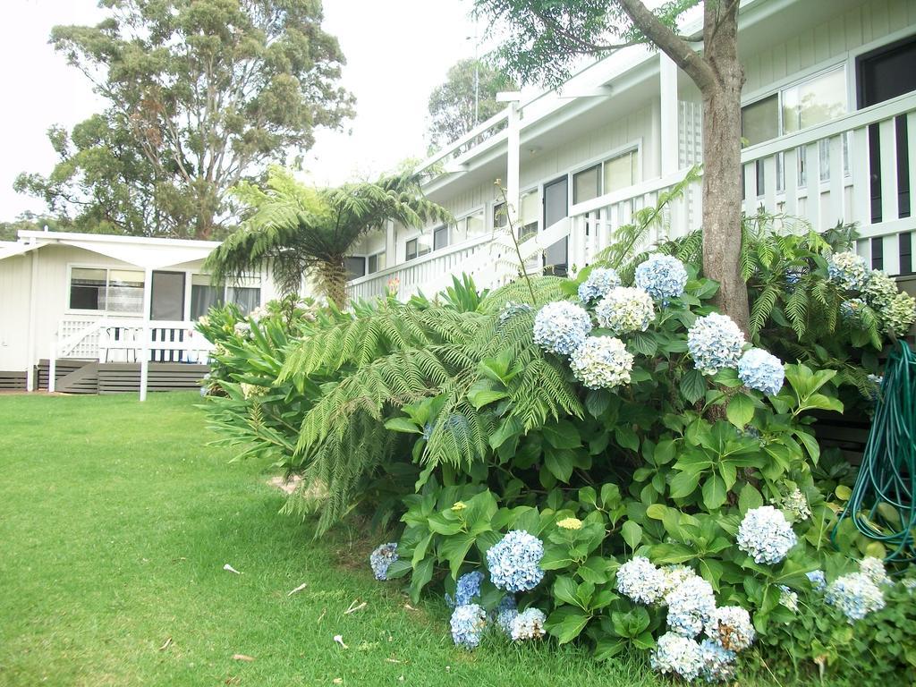 Top Of The Lake Holiday Units Merimbula Extérieur photo