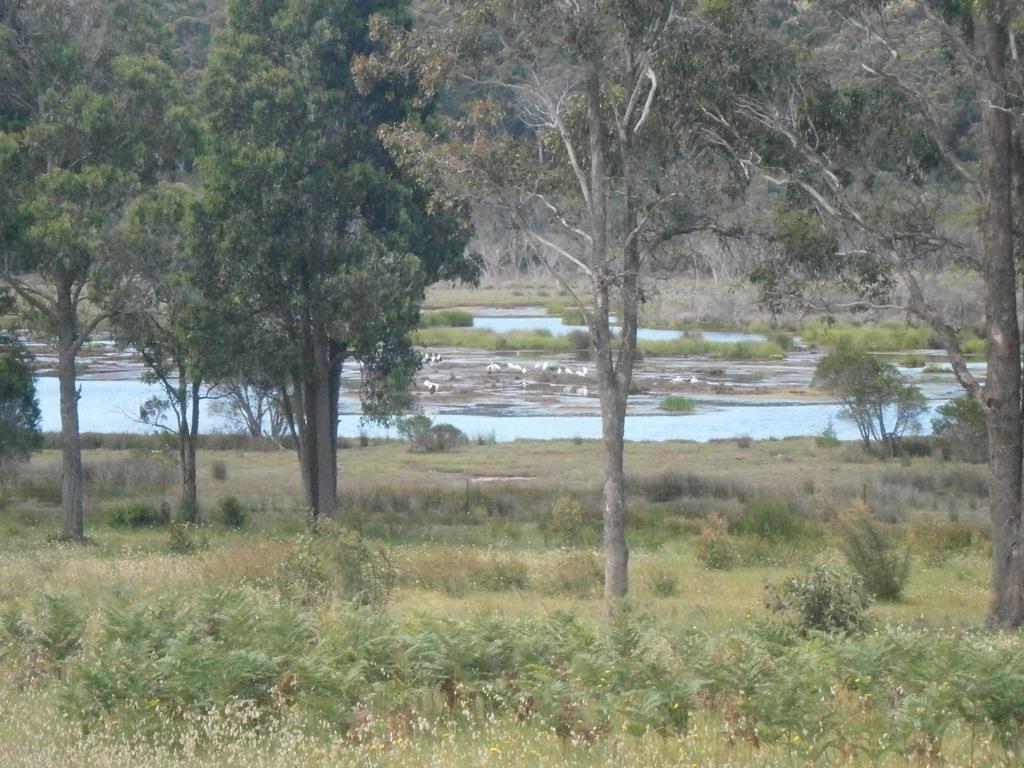 Top Of The Lake Holiday Units Merimbula Extérieur photo