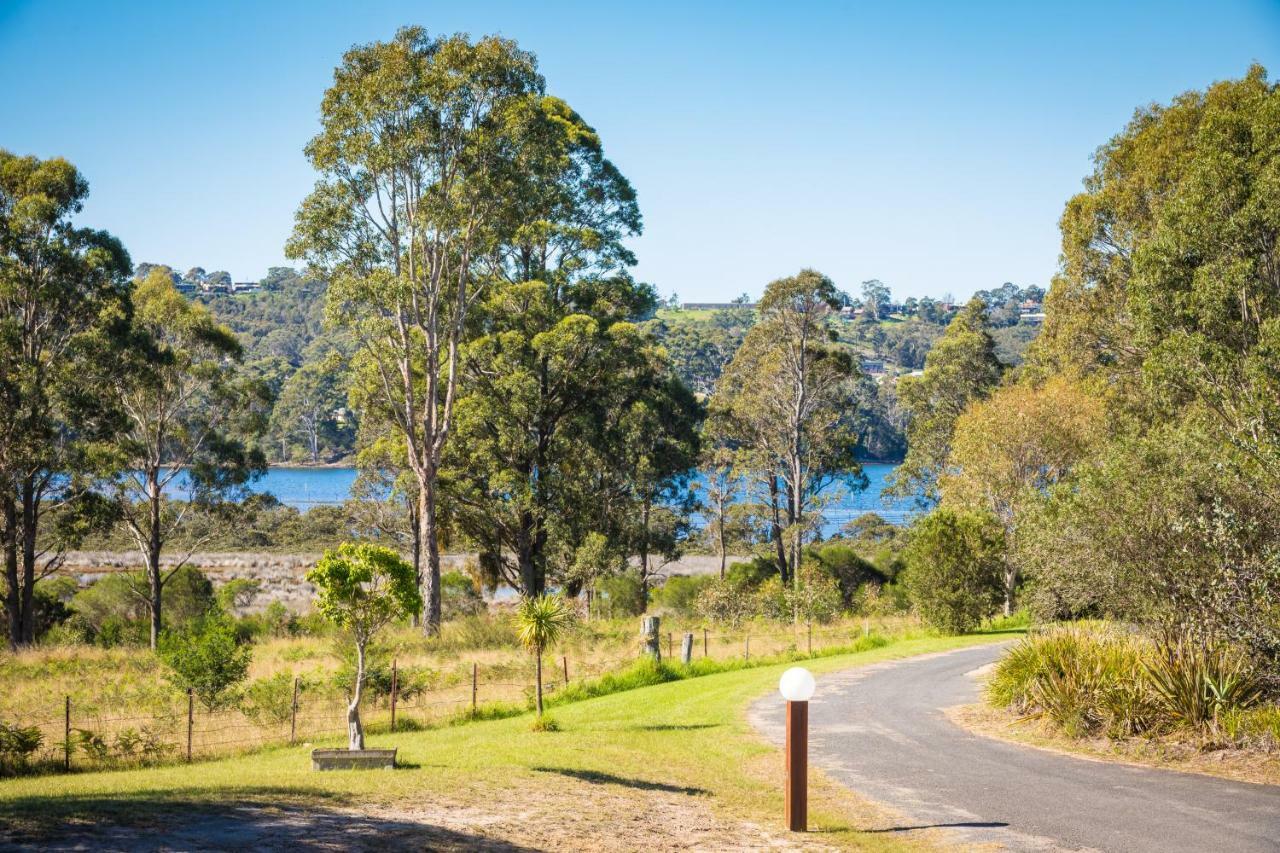 Top Of The Lake Holiday Units Merimbula Extérieur photo